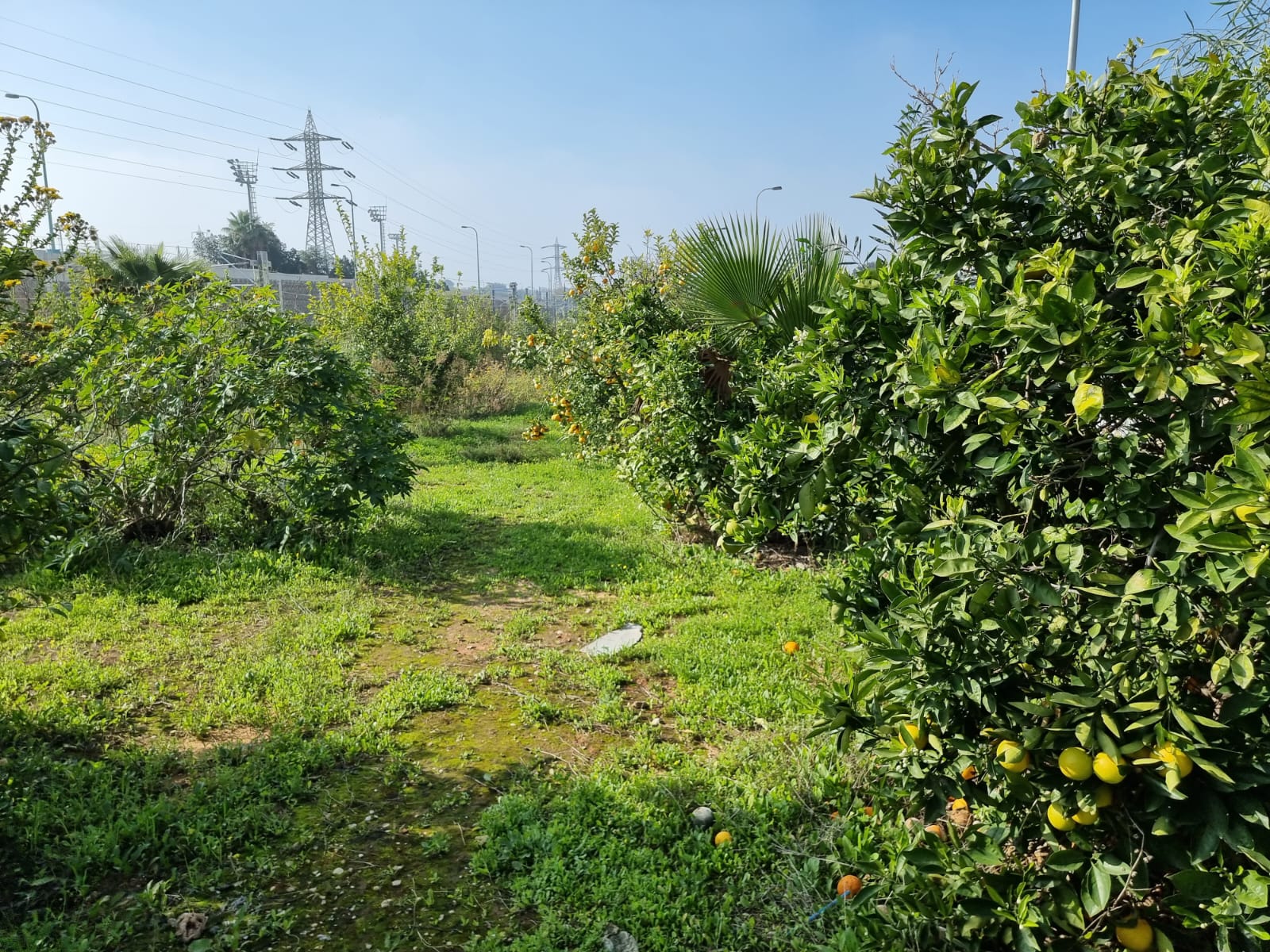 WhatsApp Image 2022-01-08 at 1.29.42 PM.jpeg